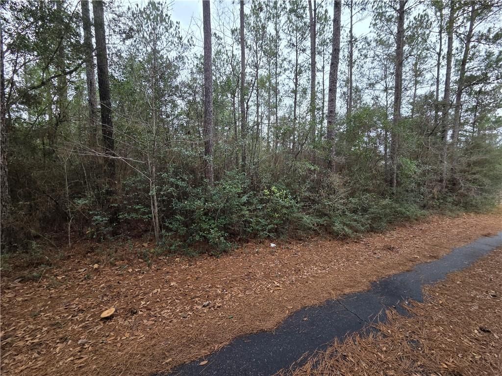 0 Highway 45, Chunchula, AL 36521 — photo 2