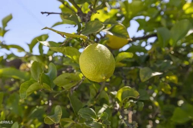 320 D Street, Fillmore, CA 93015