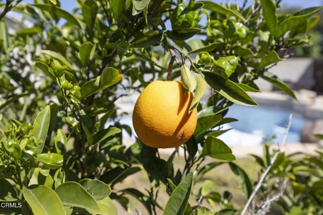 320 D Street, Fillmore, CA 93015