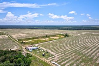 9230 County Road 17 Road S, Sebring, FL 33876