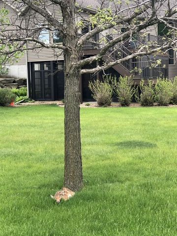 7005 Halifax Lane NW, Rochester, MN 55901