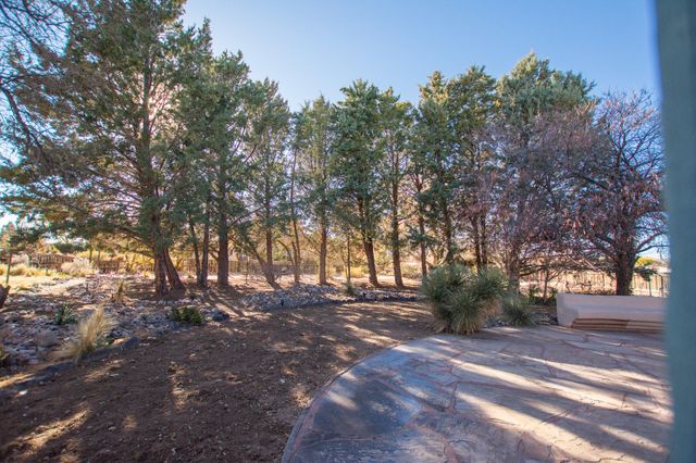 226 San Andres Road, Corrales, NM 87048