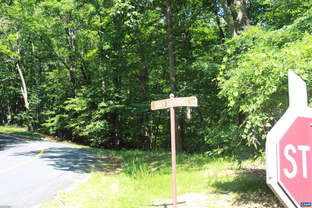 38 GRAY SQUIRREL LN, Nellysford, VA 22958