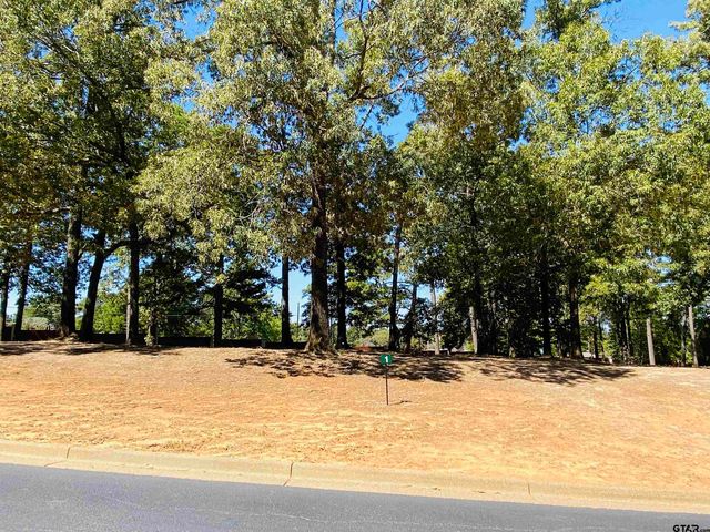 Lot 1 Easy St, Frankston, TX 75763