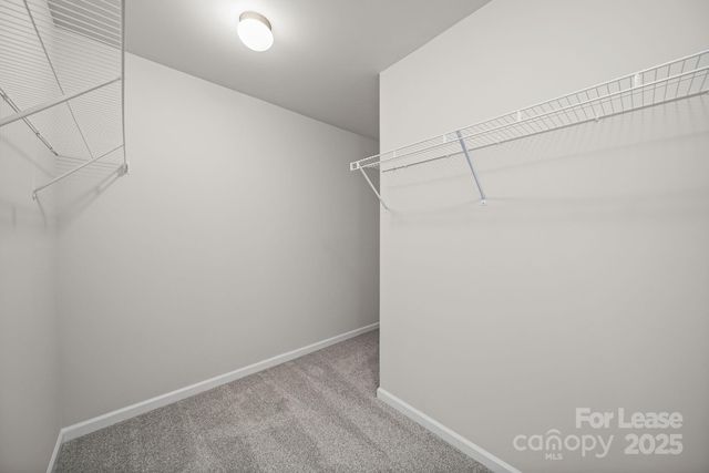 3200 Polk and White Road A, Charlotte, NC 28269