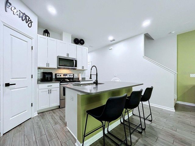 15107 ABBY BIRCH PLACE, Tampa, FL 33613