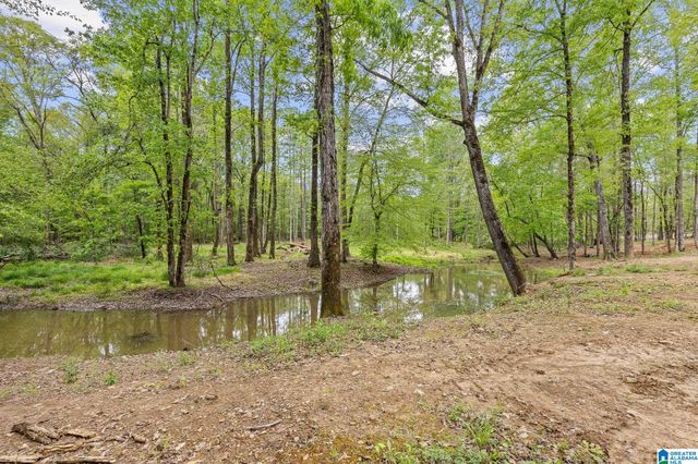 10936 BEAR CREEK ROAD, Sterrett, AL 35147