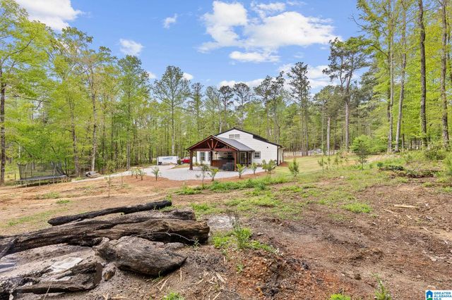 10936 BEAR CREEK ROAD, Sterrett, AL 35147