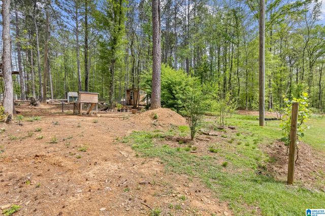 10936 BEAR CREEK ROAD, Sterrett, AL 35147