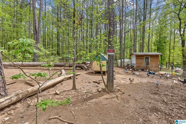 10936 BEAR CREEK ROAD, Sterrett, AL 35147