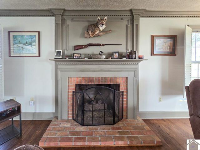 12175 Woodville Rd, Kevil, KY 48053