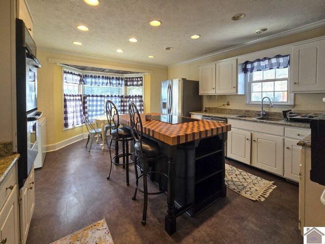 12175 Woodville Rd, Kevil, KY 48053