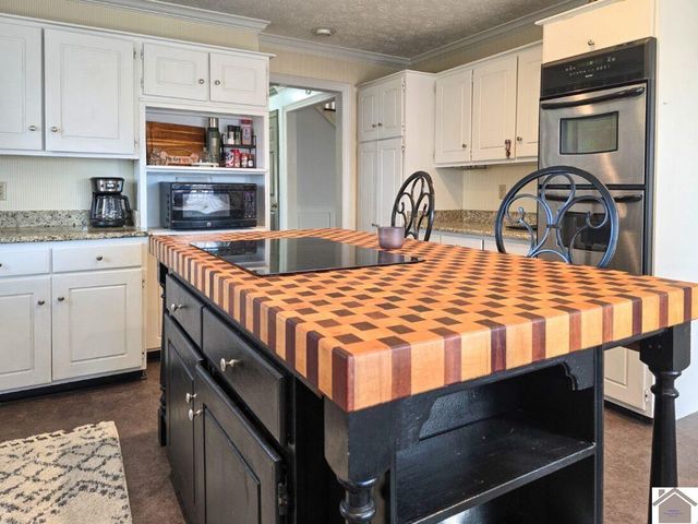 12175 Woodville Rd, Kevil, KY 48053