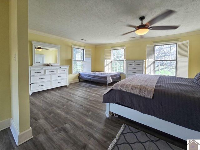 12175 Woodville Rd, Kevil, KY 48053