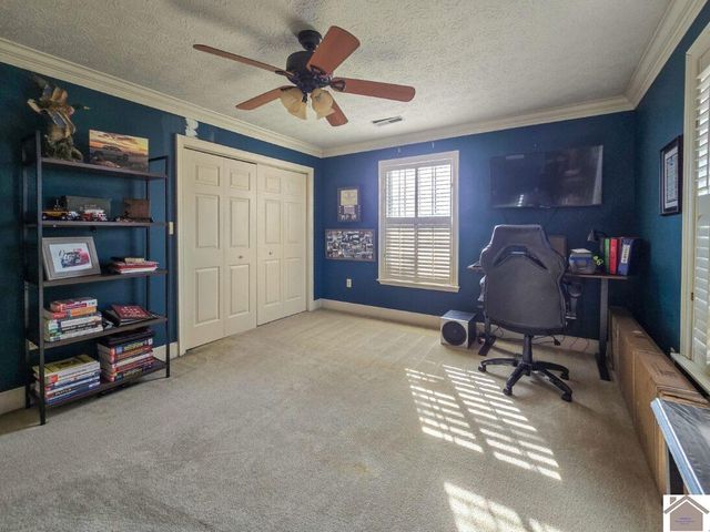 12175 Woodville Rd, Kevil, KY 48053