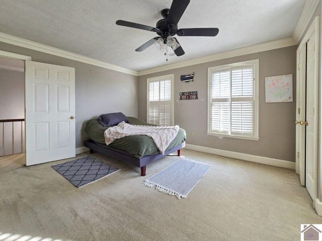 12175 Woodville Rd, Kevil, KY 48053