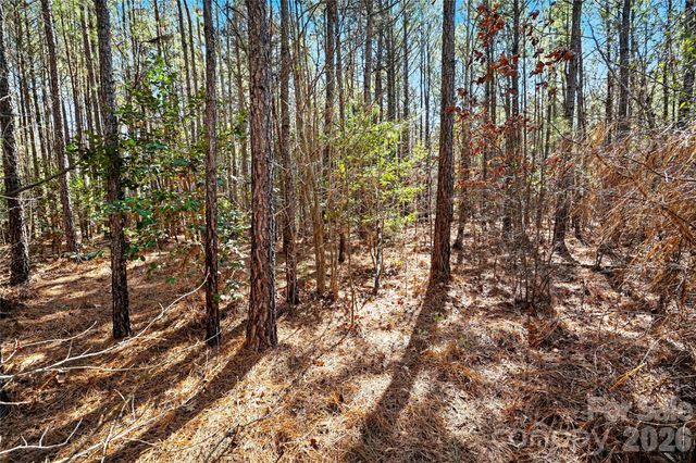 00 Three Crow Road D-2C, Lancaster, SC 29720