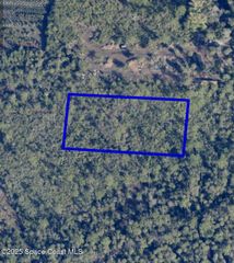 0000 Unknown Roadway, Malabar, FL 32950