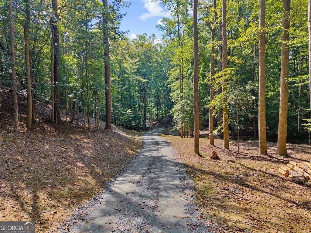 353 Jesse Martin Trail, Canton, GA 30115 — photo 2