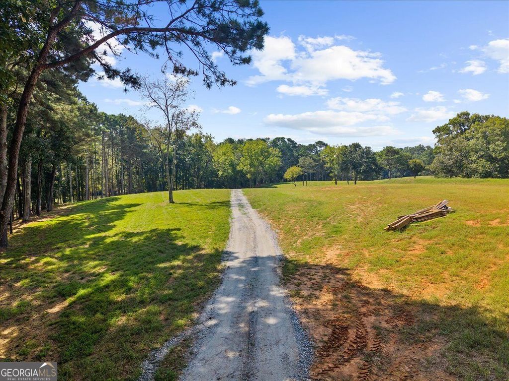 353 Jesse Martin Trail, Canton, GA 30115 — photo 4