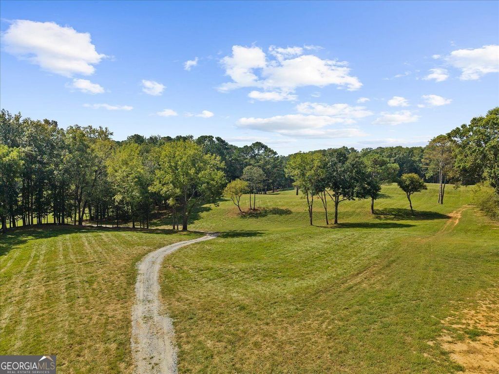 353 Jesse Martin Trail, Canton, GA 30115 — photo 5