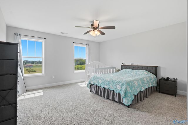 13811 Bama Lane, Elkmont, AL 35620
