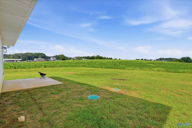 13811 Bama Lane, Elkmont, AL 35620