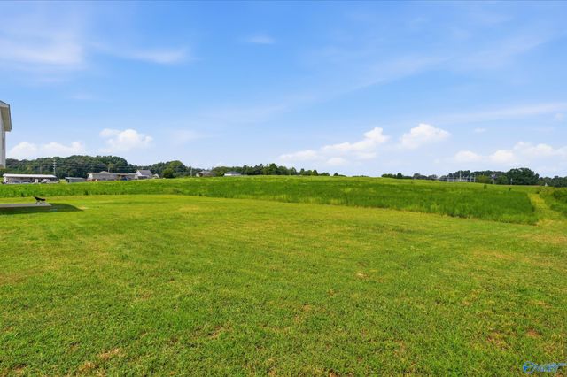 13811 Bama Lane, Elkmont, AL 35620