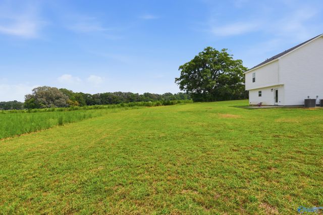 13811 Bama Lane, Elkmont, AL 35620