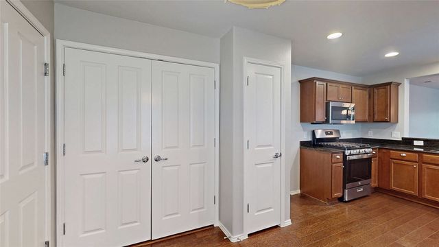 1456 Birmingham Forest Drive, Frisco, TX 75036