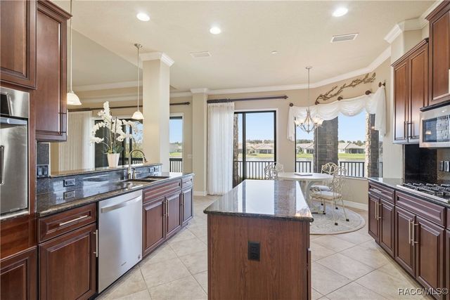 1141 W Pointe Vista Path, Hernando, FL 34442