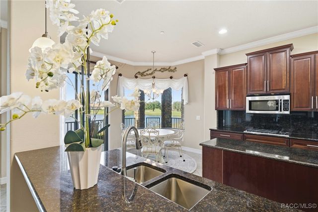 1141 W Pointe Vista Path, Hernando, FL 34442