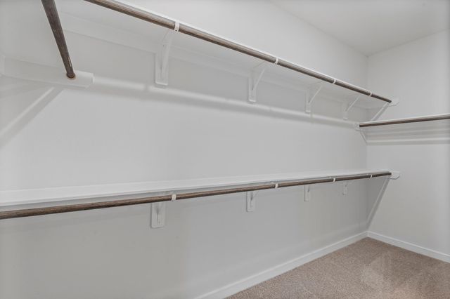 17203 Bluebonnet Creek Trail, Hockley, TX 77447