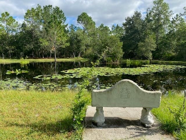 20963 E COLONIAL DRIVE, Christmas, FL 32709