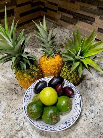 20963 E COLONIAL DRIVE, Christmas, FL 32709