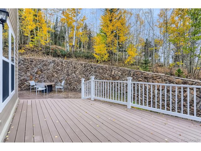 736 Martin Dr, Central City, CO 80427