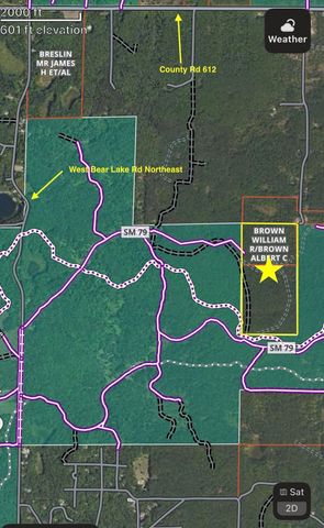 000 Bear Lane, Kalkaska, MI 49646