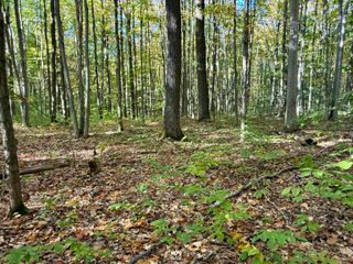 000 Bear Lane, Kalkaska, MI 49646