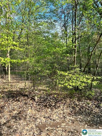 209 Sage Road, Tunkhannock Twp, PA 18334