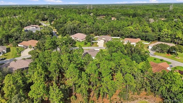 12 Pagoda Drive, Homosassa, FL 34446