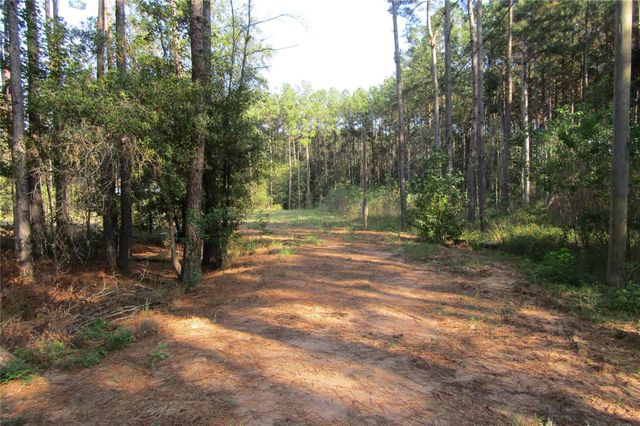 801 Pelican Road, Shepherd, TX 77371