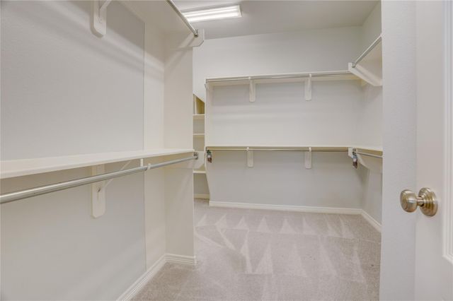 3002 Currant Drive, Manvel, TX 77578