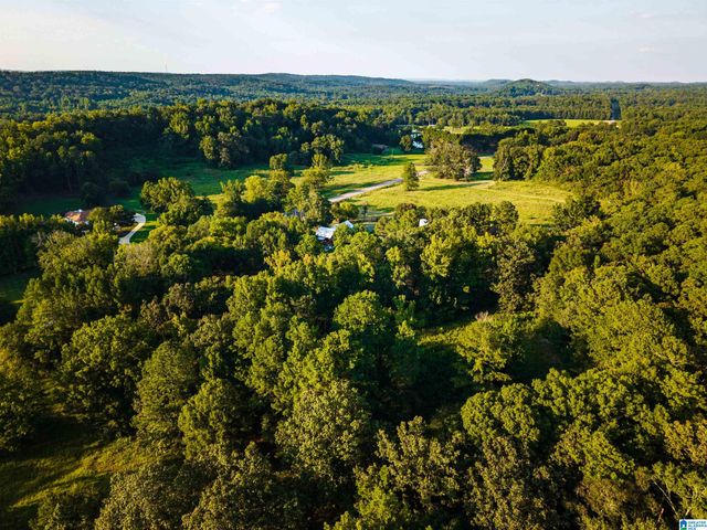 7046 WOLF CREEK ROAD, Pell City, AL 35125