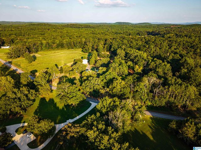7046 WOLF CREEK ROAD, Pell City, AL 35125