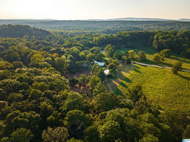 7046 WOLF CREEK ROAD, Pell City, AL 35125