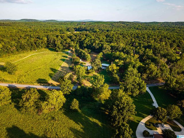 7046 WOLF CREEK ROAD, Pell City, AL 35125
