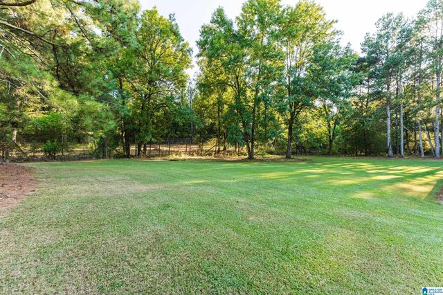 7046 WOLF CREEK ROAD, Pell City, AL 35125