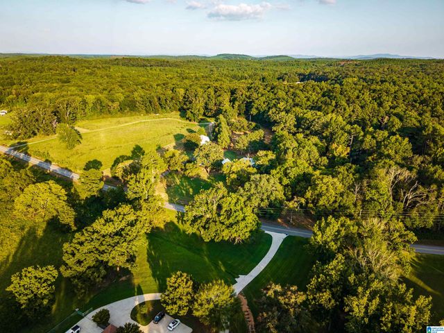 7046 WOLF CREEK ROAD, Pell City, AL 35125