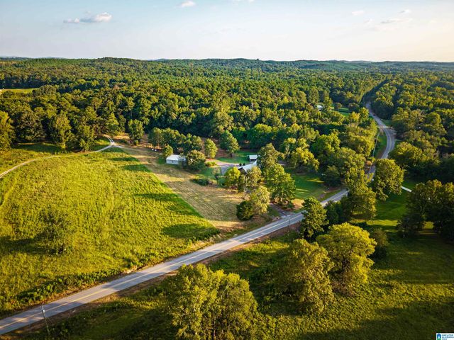 7046 WOLF CREEK ROAD, Pell City, AL 35125