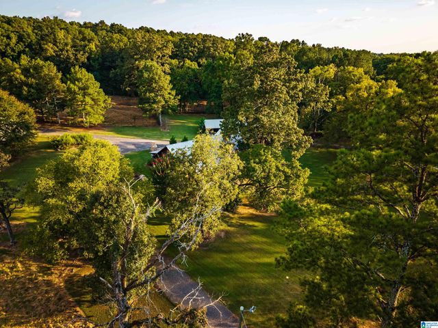 7046 WOLF CREEK ROAD, Pell City, AL 35125